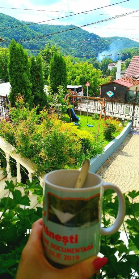 Casa Giulia Otel Băile Olăneşti Dış mekan fotoğraf