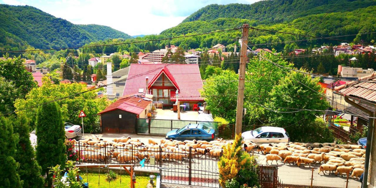 Casa Giulia Otel Băile Olăneşti Dış mekan fotoğraf