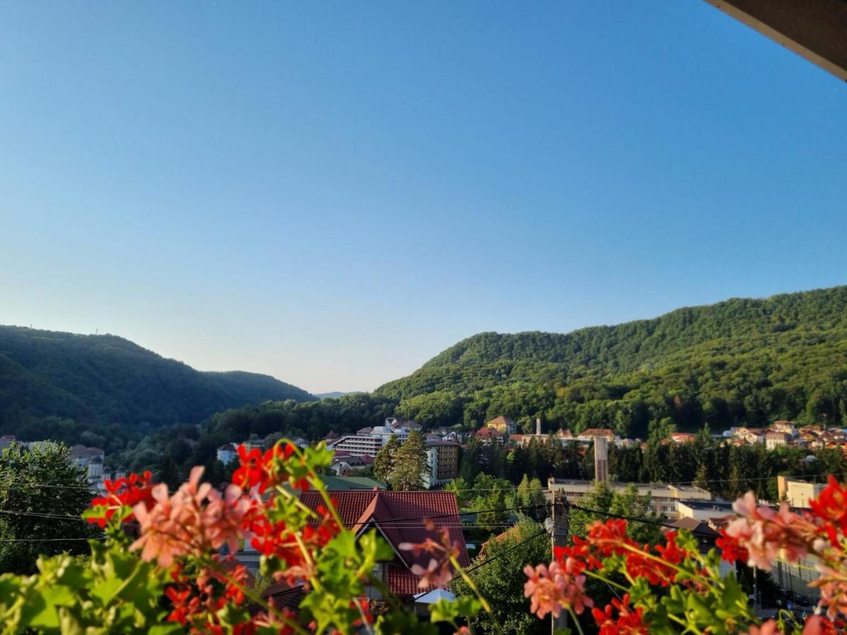 Casa Giulia Otel Băile Olăneşti Dış mekan fotoğraf