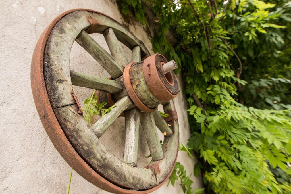 Casa Giulia Otel Băile Olăneşti Dış mekan fotoğraf